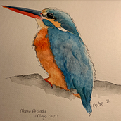 Mi Proyecto del curso: Acuarela artística para ilustración de aves. Traditional illustration, Watercolor Painting, Realistic Drawing, and Naturalistic Illustration project by Andrea Ríos López - 05.12.2021