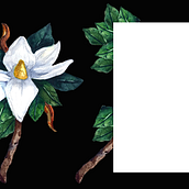 My project in Botanical Illustration with Watercolors course. Traditional illustration, Fine Arts, Painting, Drawing, Watercolor Painting, and Botanical Illustration project by Agne - 05.13.2021