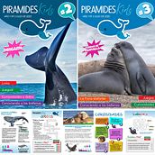Revista Piramides Kids. Graphic Design, Education, and Editorial Design project by Gaby Bellazzi - 12.04.2020