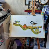 Artistic water colour techniques for illustrating birds. Painting project by Dorothy Whitworth - 05.12.2021