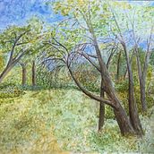 Paisajes naturales. Ilustração tradicional projeto de Aldo - 15.05.2021