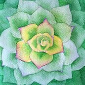 Suculenta con acuarela en negativo. Traditional illustration, Watercolor Painting, and Botanical Illustration project by Cecilia Rodríguez Barreiro - 05.17.2021
