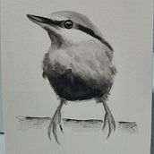 Mi Proyecto del curso: Acuarela artística para ilustración de aves. Traditional illustration, Watercolor Painting, Realistic Drawing, and Naturalistic Illustration project by raquel_rsj - 05.17.2021