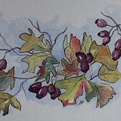 My project in Illustrating Nature: A Creative Exploration course. Traditional illustration, Painting, Drawing, Watercolor Painting, Ink Illustration, and Naturalistic Illustration project by sueh - 05.14.2021