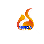 Corporativo Repesa. Social Media, Br, ing, Identit, Marketing, Creativit, Instagram, Content Marketing, Facebook Marketing, and Social Media Design project by María Fernanda Heredia Magaña - 10.04.2020
