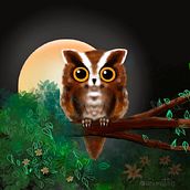 Night Owl . Un proyecto de Animación de personajes, Animación 2D, Ilustración digital, Dibujo digital, Ilustración tradicional y Diseño de personajes de Marisa Mondadori - 20.05.2021