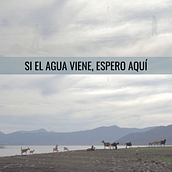 Si el agua viene, espero aquí. Film project by Francisco Lafferte - 05.20.2021