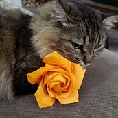 Flores em origami. Arts, and Crafts project by Ariane Santos Silva - 05.23.2021