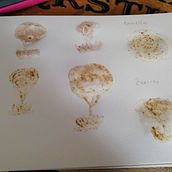 Il mio progetto del corso: Tecniche di illustrazione per sbloccare la tua creatività. Un proyecto de Diseño, Ilustración tradicional, Bellas Artes, Pintura, Creatividad, Creatividad con niños y Sketchbook de Noemi Interlandi - 23.05.2021