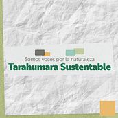 Tarahumara Sustentable . % Angel Vazquez Meza tarafından hazırlanan Hareketli Grafikler, Animas, on, Grafik Tasarım, Video, 2D Animas, Ve on projesi - 03.12.2021