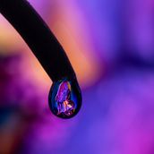 MACROMANIA. Photograph, Product Photograph, Studio Photograph, and Digital Photograph project by RUBEN ABDON - 05.12.2021