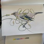 My project in Surrealist Illustration Inspired by Nature course. Traditional illustration, Pencil Drawing, Drawing, Artistic Drawing, and Naturalistic Illustration project by Monica Graham - 05.25.2021