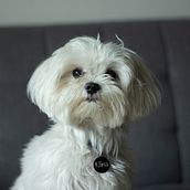 Mi Proyecto del curso: Fotografiando a Nina. Fotografia, Fotografia de retrato, Fotografia para Instagram, Fotografia documental, Fotografia Lifest, e le projeto de Ariana Gálvez - 26.05.2021