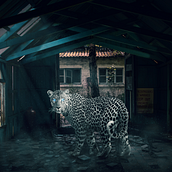 My project in Secrets of Photomontage and Creative Retouching course. Photograph, Photograph, Post-production, VFX, Photo Retouching, Fine-Art Photograph, Photographic Composition, and Photomontage project by Bhagyesh Chandane - 05.24.2021