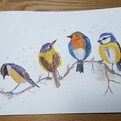 My project in Artistic Watercolor Techniques for Illustrating Birds course. Traditional illustration, Watercolor Painting, Realistic Drawing, and Naturalistic Illustration project by Nancy Einfeld - 06.05.2021