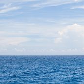 Mi Proyecto del curso: Retratos digitales de fantasía con Photoshop Ein Projekt aus dem Bereich Traditionelle Illustration, Zeichnung, Digitale Illustration, Porträtzeichnung, Digitale Zeichnung und Digitale Malerei von Myrna Gómez Maldonado - 26.05.2021