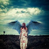 Angel. Photographic Composition project by Glenn Mathisen - 05.29.2021