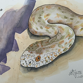 My project in Experimental Watercolor Techniques for Beginners course. Traditional illustration, Fine Arts, Watercolor Painting, and Naturalistic Illustration project by Sorin Vintzeanu - 05.29.2021
