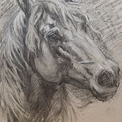 Mi Proyecto del curso: Retrato realista al carboncillo. Projekt z dziedziny Trad, c, jna ilustracja,  Sztuki piękne,  R, sunek, Portret, R, sunek realist i czn użytkownika sannenmx - 31.05.2021
