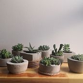 Macetas en concreto. Projekt z dziedziny Craft, DIY, Projektowanie i w, rób mebli, Projektowanie wnętrz i Dekoracja wnętrz użytkownika Alexandra Granados - 01.06.2021