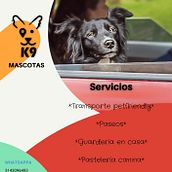 Mi Proyecto del curso: Creación y edición de contenido para Instagram Stories. Social Media, Mobile Photograph, Digital Marketing, Digital Photograph, Mobile Marketing, Instagram, Content Marketing, Instagram Photograph, Instagram Marketing, Lifest, and le Photograph project by kelacaxper_1 - 05.29.2021
