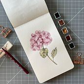 Mi Proyecto del curso: Cuaderno botánico en acuarela. Un proyecto de Ilustración tradicional, Pintura a la acuarela, Ilustración botánica y Sketchbook de Carla - 02.06.2021