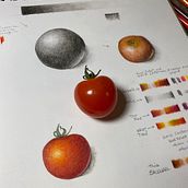 Tomato study. Un proyecto de Ilustración tradicional de Kyra S - 02.06.2021