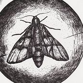 Creatures. Black & White Drawings.. Een project van Traditionele illustratie van Diana Garrett - 01.01.2018