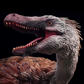 Birdino - Creature Texturing Ein Projekt aus dem Bereich 3D, 3-D-Animation, 3-D-Modellierung, Audiovisuelle Produktion und Naturalistische Illustration von Diana Varro - 02.06.2021