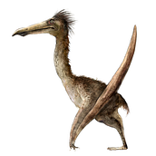 Bakonydraco - Paleoart Project WIP Ein Projekt aus dem Bereich Traditionelle Illustration, Design von Figuren, Digitale Illustration und Naturalistische Illustration von Diana Varro - 02.06.2021