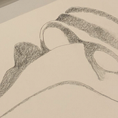 Various graphite and charcoal drawings. Pencil Drawing project by Crystal McDermott - 06.03.2021