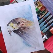 Acuarela artística para ilustración de aves. Mi Proyecto del curso. Traditional illustration, Watercolor Painting, Realistic Drawing, and Naturalistic Illustration project by Marcos Díaz - 06.05.2021