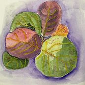 Concentrating On Botanicals. Ilustração tradicional, Pintura, e Pintura em aquarela projeto de Susan Biel - 05.06.2021