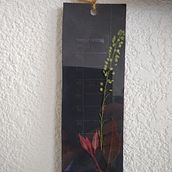 Mi Proyecto del curso: Técnicas básicas de prensado botánico. Un proyecto de Artesanía, Bellas Artes, Collage y DIY de Karen Judith Hernández - 05.06.2021