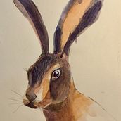 Mi Proyecto del curso: Técnicas experimentales de acuarela para principiantes . Un progetto di Illustrazione tradizionale, Belle arti, Pittura ad acquerello e Illustrazione naturalistica di Sofia Martinez - 06.06.2021