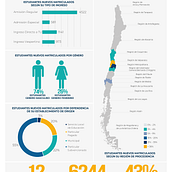 Mi Proyecto del curso: Visualización gráfica: simplifica historias complejas en imágenes. Un progetto di Gestione progetti di design, Graphic design, Design dell’informazione, Marketing, Infografica e Comunicazione di Stefani Mardones - 06.06.2021