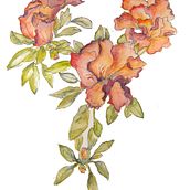 Il mio progetto del corso:  Sketchbook botanico: un approccio meditativo. Traditional illustration, Sketching, Drawing, Watercolor Painting, Botanical Illustration, and Sketchbook project by mialunadesign - 06.06.2021