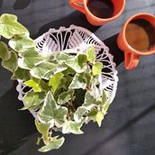 Meu projeto do curso: Técnicas de macramê circular. Un projet de Artisanat, Décoration, Art textile , et Macramé de gicibim - 28.05.2021