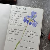 My project in Introduction to Illustrated Bullet Journaling course. Traditional illustration, Arts, Crafts, Lettering, Drawing, Artistic Drawing, Botanical Illustration, DIY, H, and Lettering project by kerstin_ - 06.07.2021