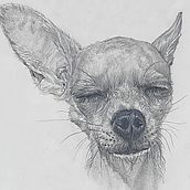 Meus projetos do curso: Retrato realista com lápis grafite. Traditional illustration, Fine Arts, Sketching, Pencil Drawing, Drawing, Portrait Drawing, Realistic Drawing, Artistic Drawing, and Figure Drawing project by Débora de Oliveira Cintra e Silva - 05.17.2021