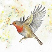 My project in Artistic Watercolor Techniques for Illustrating Birds course. Traditional illustration, Watercolor Painting, Realistic Drawing, and Naturalistic Illustration project by Jim White - 06.07.2021