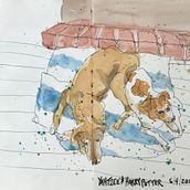 My project in Artistic Watercolor Sketching: Dare to Express Your Ideas course. Traditional illustration, Sketching, Creativit, Drawing, Watercolor Painting, and Sketchbook project by Alice Rohman - 06.07.2021