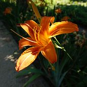 Mi Proyecto del curso: Fotografía de viajes y lifestyle . % Lorea López tarafından hazırlanan Fotoğrafçılık, Açık Hava Fotoğrafçılığı, Ve Yaşam Tarzı Fotoğrafçılığı projesi - 06.08.2021