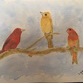 My project in Artistic Watercolor Techniques for Illustrating Birds course. Traditional illustration, Watercolor Painting, Realistic Drawing, and Naturalistic Illustration project by Shirley Hallman - 06.09.2021