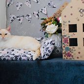 Gatocho en las nubes. Photograph, Social Media, Mobile Photograph, Product Photograph, Instagram, Instagram Photograph, Art Direction, Fine-Art Photograph, and Mobile Marketing project by Aída Magaña - 06.10.2021