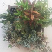 Mi Proyecto del curso: Diseño y creación de composiciones botánicas. Interior Design, L, scape Architecture, Decoration, DIY, Floral, and Plant Design project by Valeria Silva - 06.07.2021