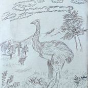 Inside Stories: The Moa Ein Projekt aus dem Bereich Schrift, Kreativität, Stor und telling von Sabine Algur - 09.07.2020
