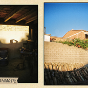 Rural Cannister // 35mm. Film Photograph project by Jaime Foncillas - 10.21.2020