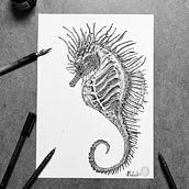 Shergar the Spiny Seahorse. Traditional illustration, Fine Arts, Screen Printing, Creativit, Ink Illustration, Realistic Drawing, Printing, Drawing, and Pattern Design project by Gem Blastock - 06.12.2021