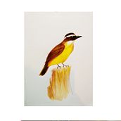 Mi Proyecto del curso: Ilustración naturalista de aves con acuarela. Traditional illustration, Watercolor Painting, Realistic Drawing, and Naturalistic Illustration project by medios.fire - 06.14.2021